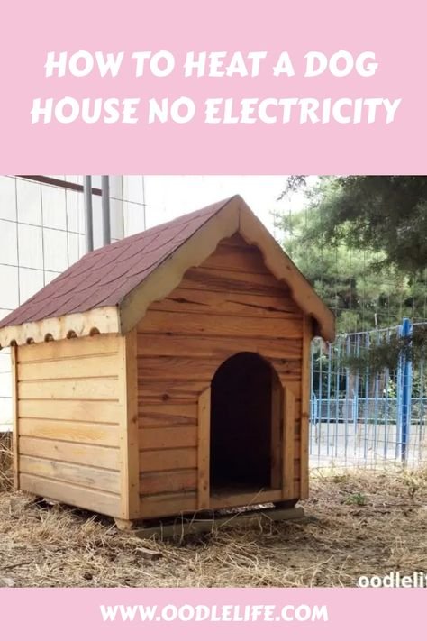 Keep Your Dog House Warm Without Electricity! - Franklin Street Cafe